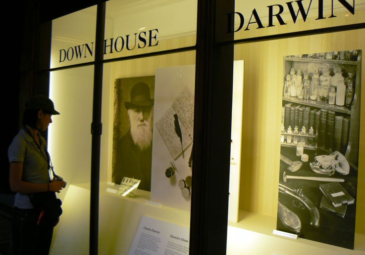 Darwin e la teoria sull'evoluzione al Museo di Storia Naturale di Londra