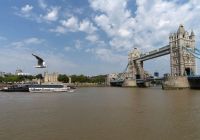 Uber Boat London opera lungo 24 moli lungo il Tamigi