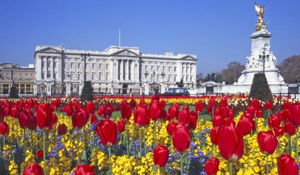 Buckingham Palace Biglietti