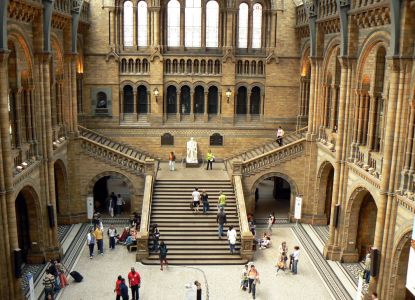 Tour Natural History Museum