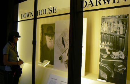 Tour privato del Museo di Storia Naturale con guida italiana