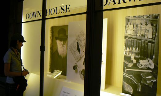 Tour Privato Museo di Storia Naturale con Guida Italiana