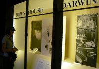 Darwin e la teoria sull'evoluzione al Museo di Storia Naturale di Londra