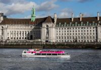London Eye con crociera