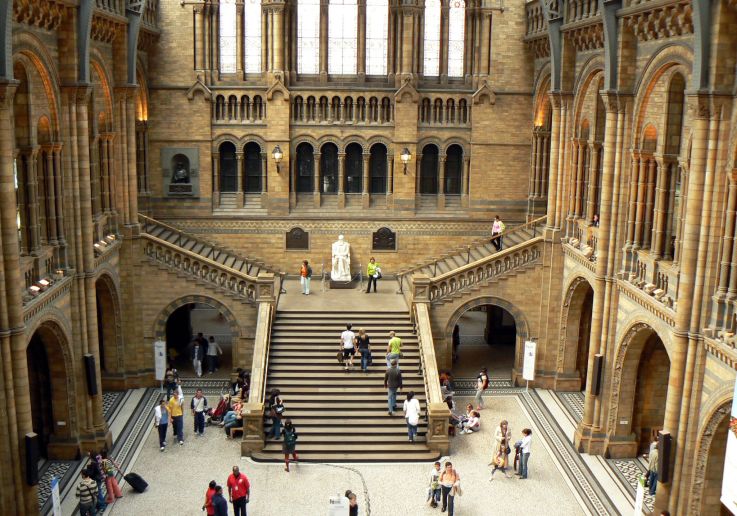 Tour Natural History Museum