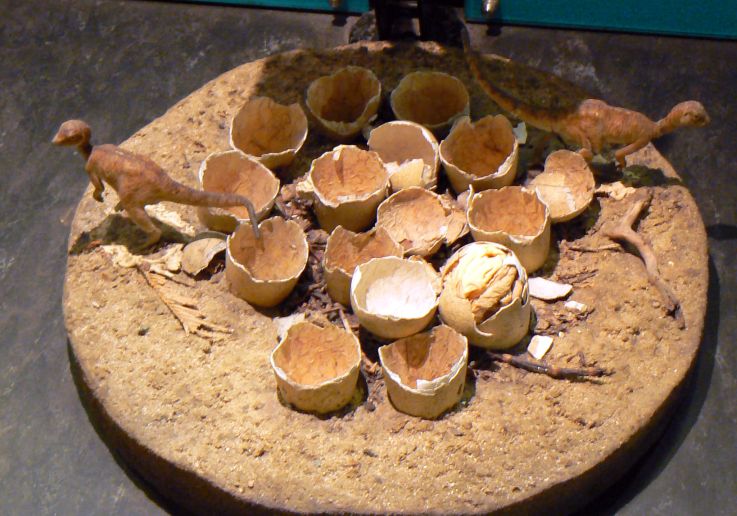 Sezione dinosauri del Natural History Museum