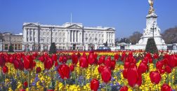 Buckingham Palace Biglietti