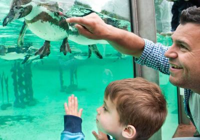 Lo Zoo a Londra è una delle attrazioni preferite dai bambini