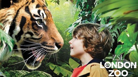 Zoo Londra Biglietti